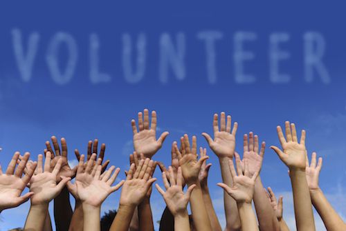 Hands raised to volunteer
